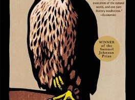 נ זה נץ באנגלית